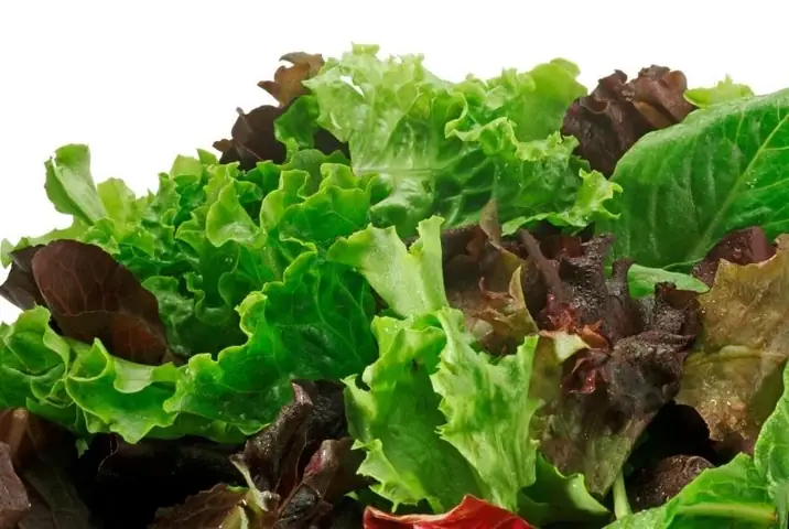 Bà Đẻ Nên Ăn Rau Gì Tốt Nhất Cho Mẹ & Bé? (tư Vấn Chuẩn Y Khoa) Bà Đẻ Nên Ăn Rau Gì Tốt Nhất Cho Mẹ & Bé? (tư Vấn Chuẩn Y Khoa)