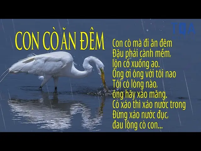 100+ Lời Bài Hát Ru Con Ngủ Hay Nhất, Dễ Thuộc Cho Mẹ Ba Miền 100+ Lời Bài Hát Ru Con Ngủ Hay Nhất, Dễ Thuộc Cho Mẹ Ba Miền