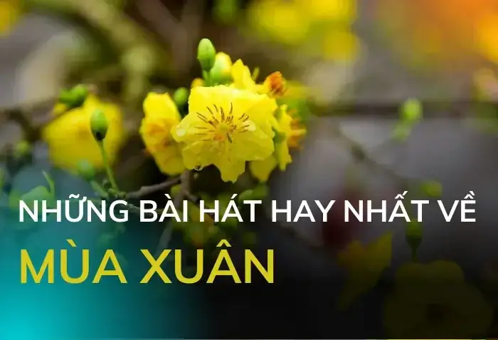 Trăng Tròn Thật Xinh: Lời Bài Hát, Ý Nghĩa & Hoạt Động Trung Thu Vui Nhộn Cho Bé