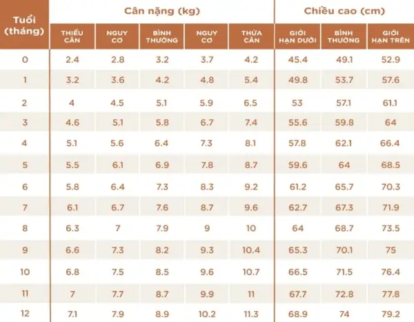 Bảng Cân Nặng Chuẩn Bé Trai Theo Tháng Tuổi: Chuẩn Who Cho Bé 0-18 Tuổi Bảng Cân Nặng Chuẩn Bé Trai Theo Tháng Tuổi: Chuẩn Who Cho Bé 0-18 Tuổi