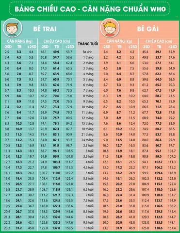 Bảng Cân Nặng Và Chiều Cao Chuẩn Của Bé Trai Theo Từng Độ Tuổi (who & Việt Nam)