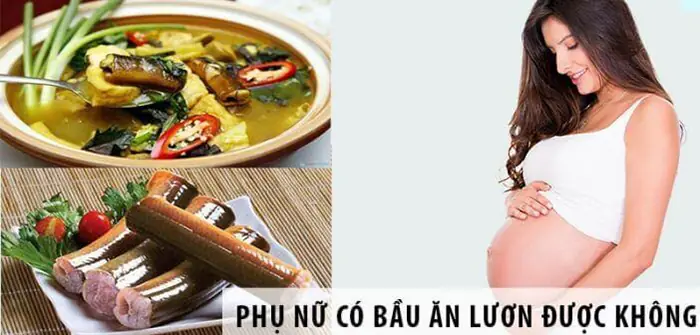 Bầu 3 Tháng Ăn Lươn Được Không? Lợi Ích & Lưu Ý Chi Tiết Cho Mẹ Bầu