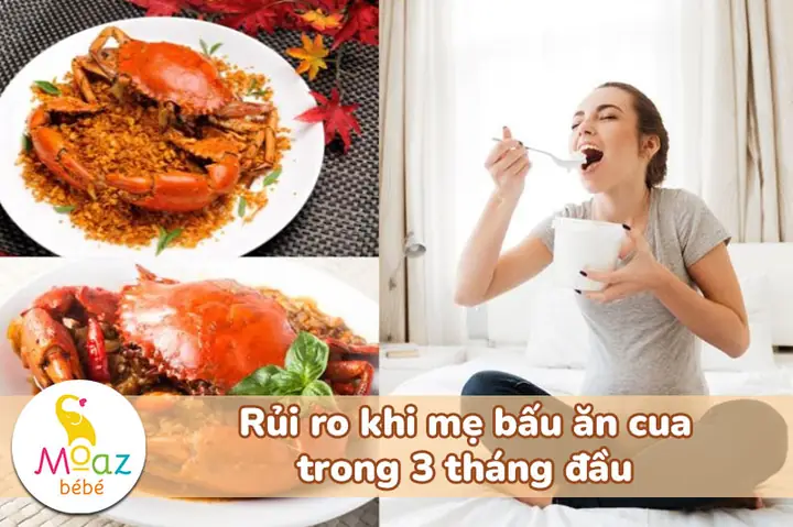 Bầu 3 Tháng Đầu Ăn Cua Biển Được Không? Lưu Ý Gì Để Mẹ Và Bé An Toàn? Bầu 3 Tháng Đầu Ăn Cua Biển Được Không? Lưu Ý Gì Để Mẹ Và Bé An Toàn?