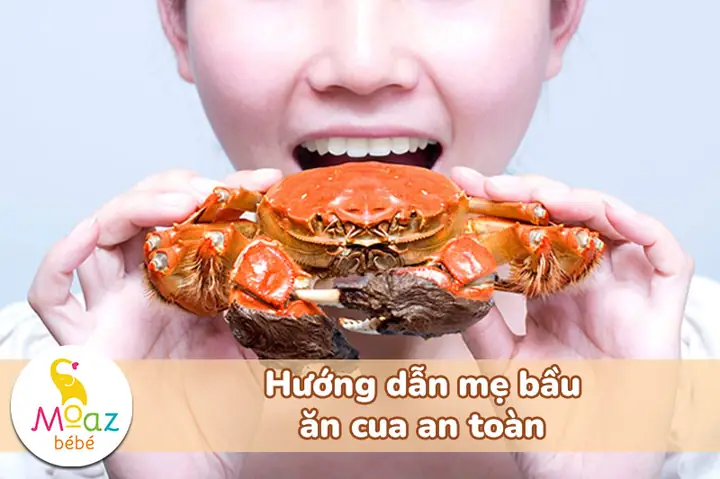Bầu 3 Tháng Đầu Ăn Cua Biển Được Không? Lưu Ý Gì Để Mẹ Và Bé An Toàn? Bầu 3 Tháng Đầu Ăn Cua Biển Được Không? Lưu Ý Gì Để Mẹ Và Bé An Toàn?