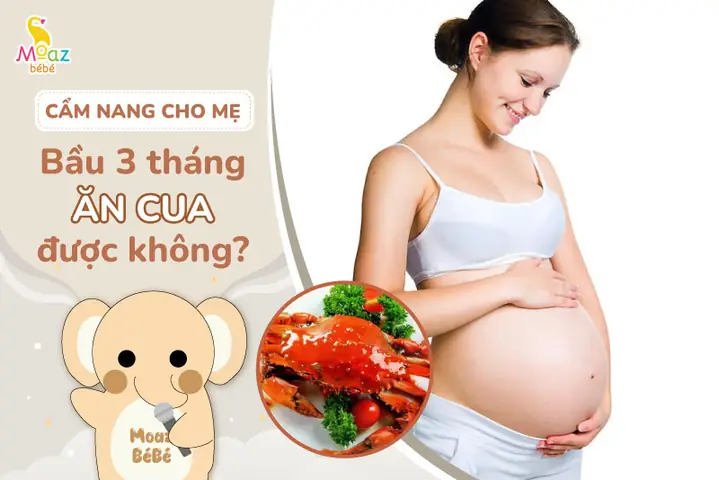 Bầu 3 Tháng Đầu Ăn Cua Biển Được Không? Lưu Ý Gì Để Mẹ Và Bé An Toàn? Bầu 3 Tháng Đầu Ăn Cua Biển Được Không? Lưu Ý Gì Để Mẹ Và Bé An Toàn?