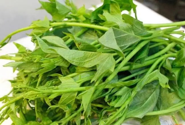 Bầu 3 Tháng Đầu Ăn Rau Lang Được Không? Lợi Ích & Lưu Ý An Toàn