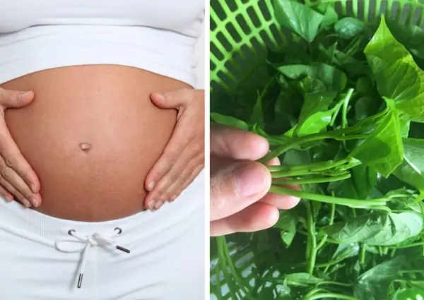 Bầu 3 Tháng Đầu Ăn Rau Lang Được Không? Lợi Ích & Lưu Ý An Toàn