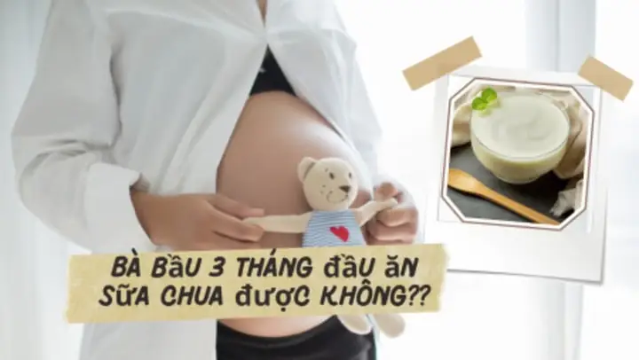 Bà Bầu 3 Tháng Đầu Có Nên Ăn Sữa Chua Không? Lợi Ích, Lưu Ý Và Loại Tốt Nhất