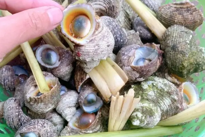Bà Bầu Ăn Ốc Được Không? Lợi Ích, Rủi Ro & Lưu Ý Vàng Bà Bầu Ăn Ốc Được Không? Lợi Ích, Rủi Ro & Lưu Ý Vàng