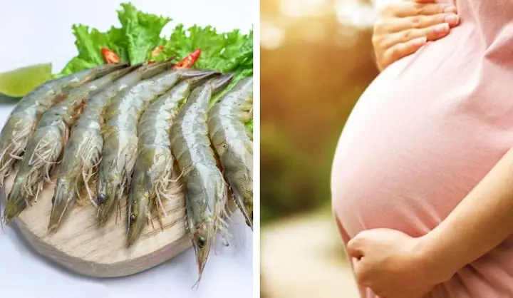 Bà Bầu Ăn Tôm Được Không? Lợi Ích Và Lưu Ý Khi Bổ Sung Dinh Dưỡng