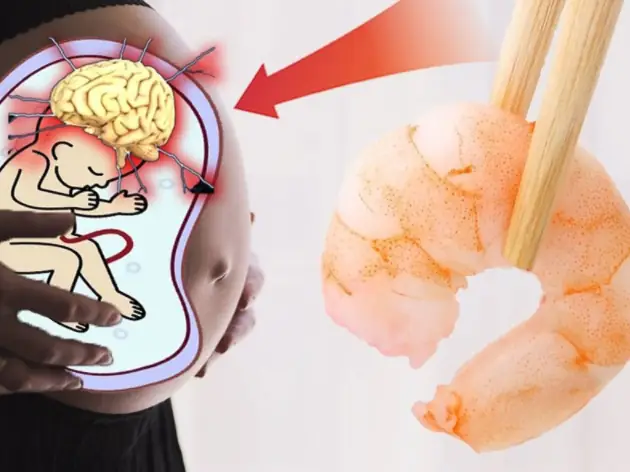 Bà Bầu Ăn Tôm Được Không? Lợi Ích Và Lưu Ý Khi Bổ Sung Dinh Dưỡng