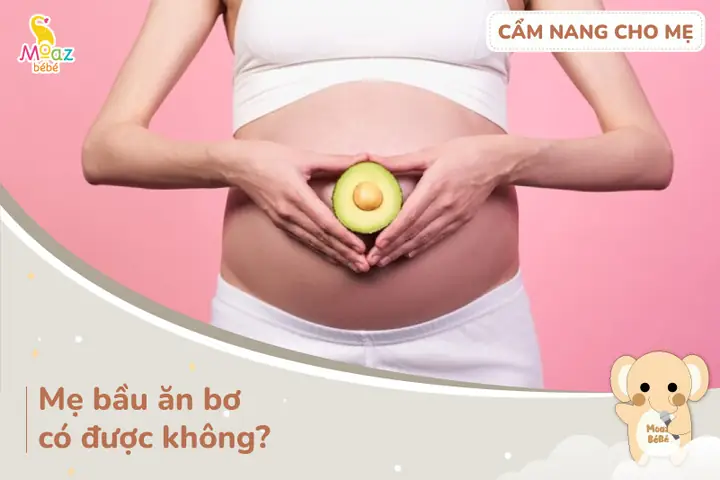 Bà Bầu Ăn Bơ Được Không? Lợi Ích, Lưu Ý Và Cách Ăn Tốt Cho Mẹ Và Bé