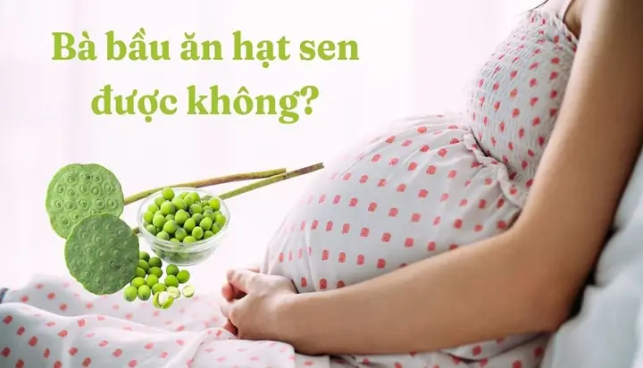 Bà Bầu Ăn Hạt Sen Được Không? Lợi Ích, Lưu Ý Và Cách Dùng An Toàn