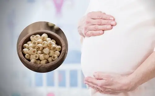 Bà Bầu Ăn Hạt Sen Được Không? Lợi Ích, Lưu Ý Và Cách Dùng An Toàn