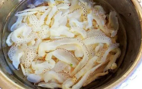 Bầu Ăn Sứa Được Không? Lợi Ích, Rủi Ro Và Lưu Ý An Toàn Bầu Ăn Sứa Được Không? Lợi Ích, Rủi Ro Và Lưu Ý An Toàn