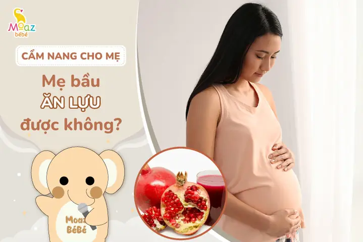 Bà Bầu Có Nên Ăn Lựu Không? Lợi Ích & Lưu Ý Quan Trọng Bà Bầu Có Nên Ăn Lựu Không? Lợi Ích & Lưu Ý Quan Trọng