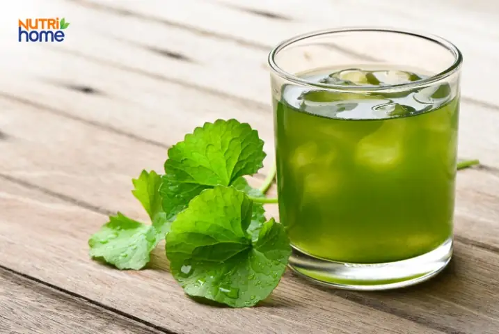 Bà Bầu Uống Rau Má Được Không? Lợi Ích, Rủi Ro Và Lưu Ý Chi Tiết