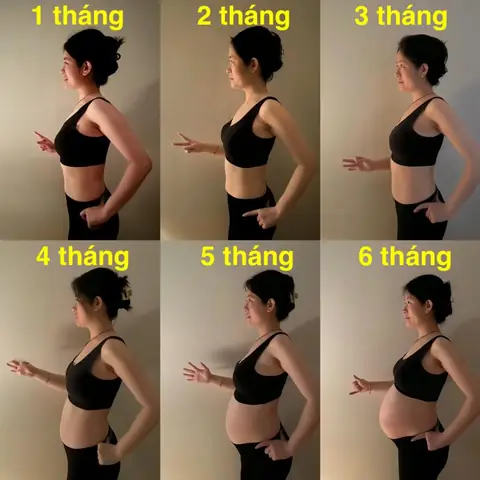 Bầu Mấy Tháng Thì Thấy Bụng? Hành Trình "lộ Bụng" Theo Tuần Thai & Yếu Tố Ảnh Hưởng