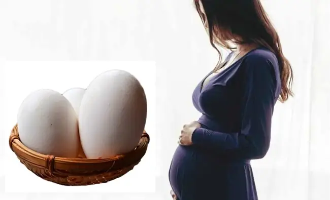 Bà Bầu Nên Ăn Trứng Ngỗng Vào Thời Điểm Nào Tốt Nhất Cho Thai Kỳ & Thai Nhi? Bà Bầu Nên Ăn Trứng Ngỗng Vào Thời Điểm Nào Tốt Nhất Cho Thai Kỳ & Thai Nhi?