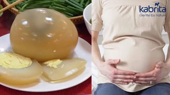 Bà Bầu Nên Ăn Trứng Ngỗng Vào Thời Điểm Nào Tốt Nhất Cho Thai Kỳ & Thai Nhi? Bà Bầu Nên Ăn Trứng Ngỗng Vào Thời Điểm Nào Tốt Nhất Cho Thai Kỳ & Thai Nhi?