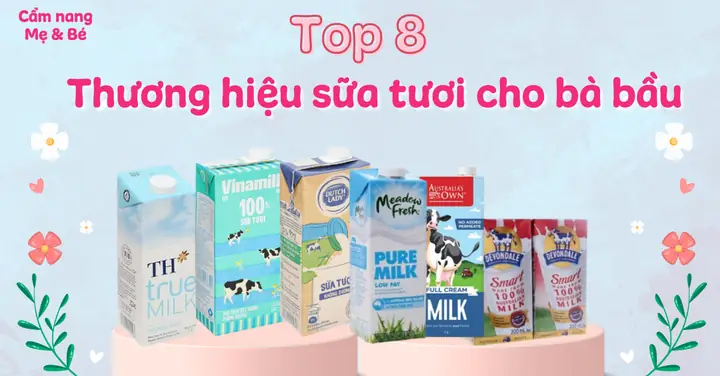 Sữa Tươi Cho Bà Bầu: Loại Nào Tốt, Dễ Uống & Giàu Dinh Dưỡng Nhất?