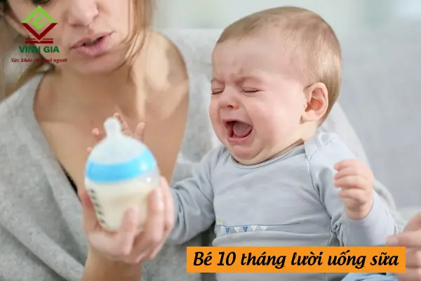 Bé 10 Tháng Tuổi Lười Ăn: Nguyên Nhân Sâu Xa Và Giải Pháp Vượt Trội Cho Bé Ăn Ngon Miệng Trở Lại