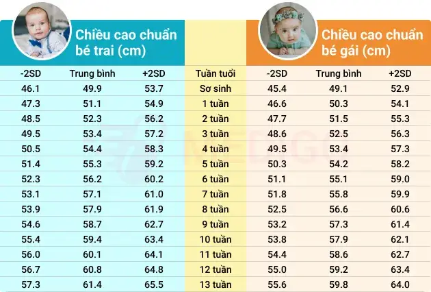 Bé 19 Tháng Tuổi Cao Bao Nhiêu: Chuẩn Chiều Cao Và Cân Nặng Theo Who Cho Bé 19 Tháng