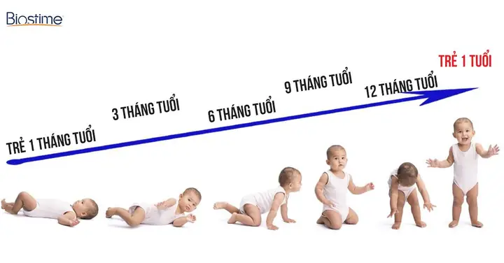 Bé 3 Tháng Chưa Biết Lật Có Sao Không? Nguyên Nhân & Cách Hỗ Trợ Đúng Cách
