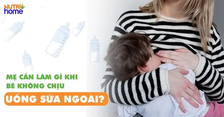 Bé 3 Tháng Tuổi Không Chịu Uống Sữa: Nguyên Nhân, Dấu Hiệu & Cách Khắc Phục Hiệu Quả Cho Bé