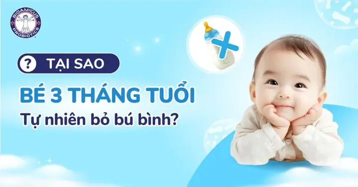 Bé 3 Tháng Lười Bú Bình: Nguyên Nhân, Dấu Hiệu Và Giải Pháp Hiệu Quả Cho Mẹ