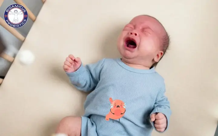 Bé 3 Tháng Lười Bú Bình: Nguyên Nhân, Dấu Hiệu Và Giải Pháp Hiệu Quả Cho Mẹ