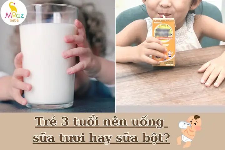 Bé 3 Tuổi Có Nên Uống Sữa Bột Không? Sữa Tươi Hay Sữa Công Thức Tốt Hơn? Bé 3 Tuổi Có Nên Uống Sữa Bột Không? Sữa Tươi Hay Sữa Công Thức Tốt Hơn?