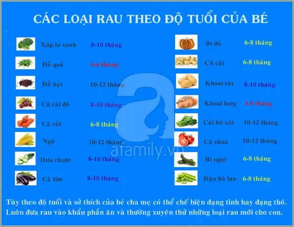 Bé 6 Tháng Tuổi Ăn Được Rau Gì? Danh Sách Rau Củ Tốt & Cách Chế Biến