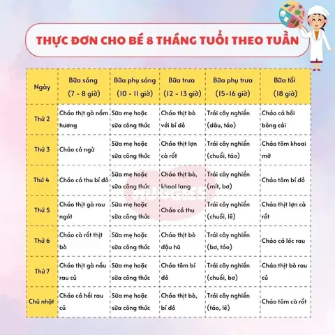 Bé 8 Tháng Ăn Dặm Ngày Mấy Bữa? Lịch Ăn Chi Tiết & Dinh Dưỡng Chuẩn Who Bé 8 Tháng Ăn Dặm Ngày Mấy Bữa? Lịch Ăn Chi Tiết & Dinh Dưỡng Chuẩn Who
