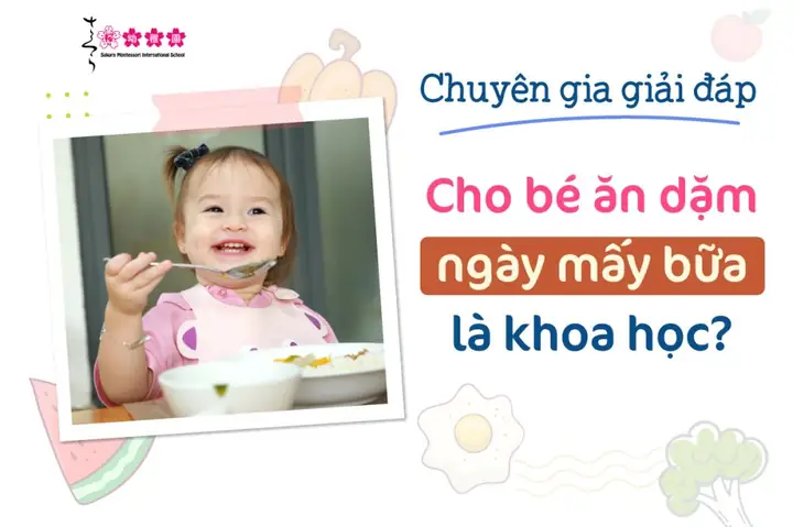 Bé 8 Tháng Ăn Dặm Ngày Mấy Bữa? Lịch Ăn Chi Tiết & Dinh Dưỡng Chuẩn Who Bé 8 Tháng Ăn Dặm Ngày Mấy Bữa? Lịch Ăn Chi Tiết & Dinh Dưỡng Chuẩn Who