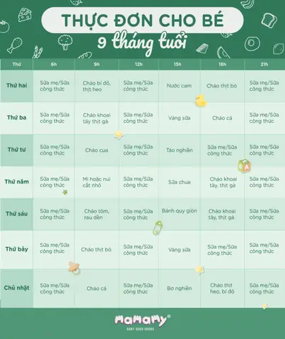 Bé 9 Tháng Ăn Cháo Hạt Được Chưa: Dấu Hiệu & Cách Chuyển Giai Đoạn An Toàn
