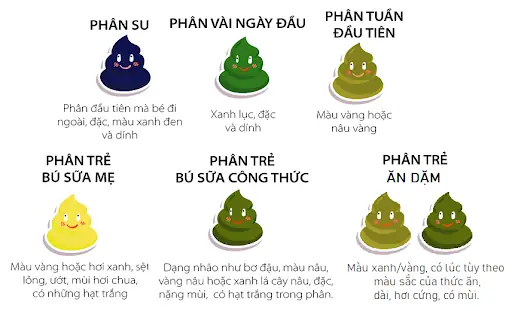 Bé Ăn Dặm Đi Phân Xanh: Nguyên Nhân, Khi Nào Cần Lo Lắng & Cách Xử Lý Đúng