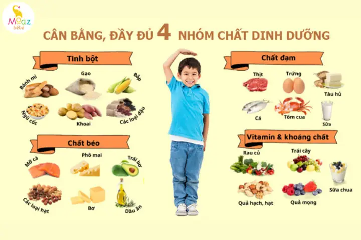 Bé Ăn Gì Để Tăng Cân Nhanh Chóng & Khoa Học: 15+ Thực Phẩm Vàng Cho Bé Suy Dinh Dưỡng
