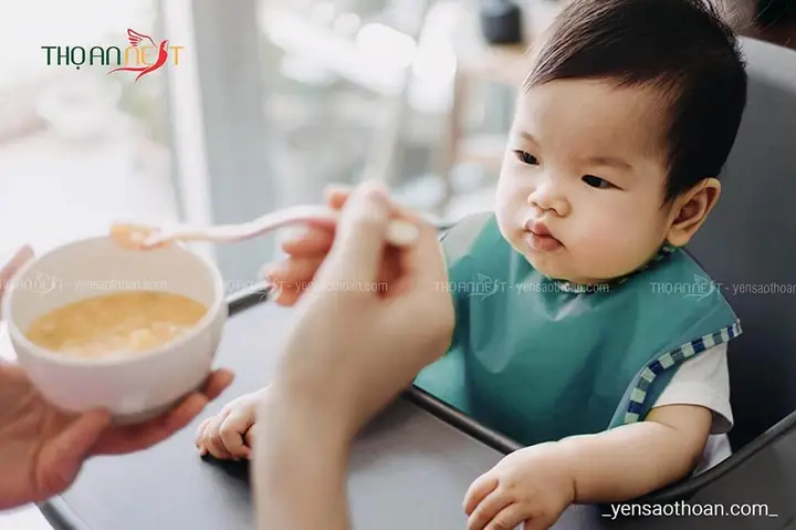 Bé Bao Nhiêu Tháng Thì Ăn Được Yến Chưng? Chuyên Gia Giải Đáp Chi Tiết Từ A-z