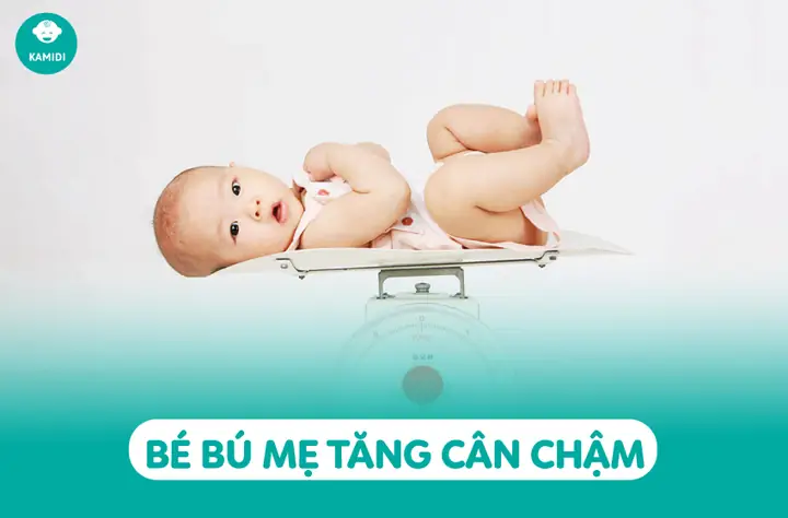 Bé Bú Mẹ Hoàn Toàn Nhưng Không Tăng Cân: Nguyên Nhân, Dấu Hiệu Và Cách Khắc Phục