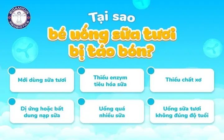Bé Uống Sữa Tươi Vinamilk Bị Táo Bón: Nguyên Nhân, Cách Khắc Phục & Chọn Sữa An Toàn Bé Uống Sữa Tươi Vinamilk Bị Táo Bón: Nguyên Nhân, Cách Khắc Phục & Chọn Sữa An Toàn