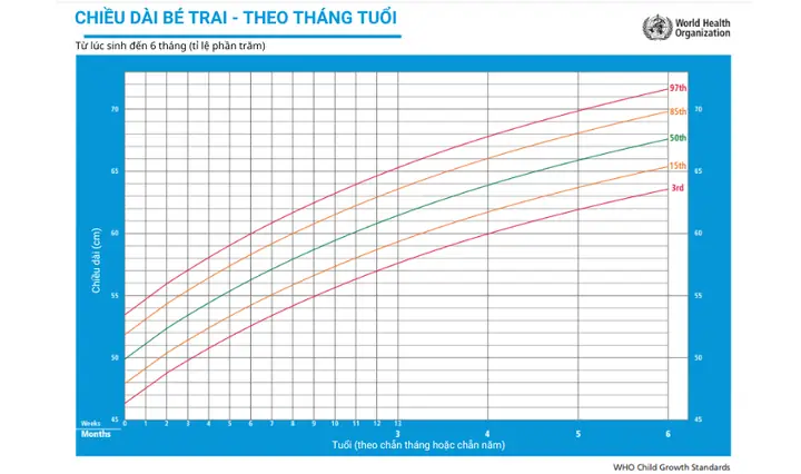 Biểu Đồ Tăng Trưởng Chuẩn Who Cho Bé Gái: Cập Nhật Mới Nhất Từ 0-18 Tuổi