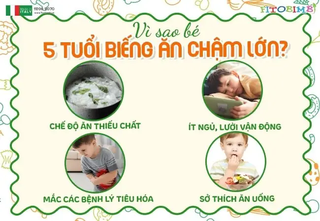 Thực Đơn Bữa Sáng Ngon Miệng Và Bổ Dưỡng Cho Trẻ 5 Tuổi: Bí Quyết Mẹ Bỉm Nên Biết