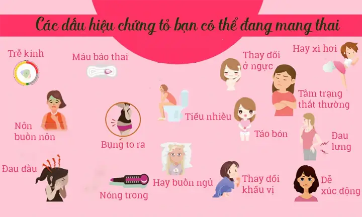 Buồn Ngủ Nhiều Có Phải Dấu Hiệu Mang Thai Sớm Không? Giải Mã Cùng Chuyên Gia Buồn Ngủ Nhiều Có Phải Dấu Hiệu Mang Thai Sớm Không? Giải Mã Cùng Chuyên Gia