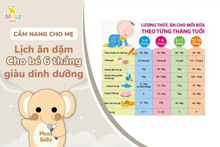 Thực Đơn Ăn Dặm Cho Bé 6 Tháng: Lịch Ăn, Món Ngon Dễ Làm & Lưu Ý Quan Trọng Thực Đơn Ăn Dặm Cho Bé 6 Tháng: Lịch Ăn, Món Ngon Dễ Làm & Lưu Ý Quan Trọng