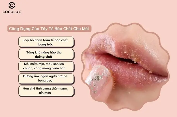 10+ Cách Tẩy Da Chết Môi Tự Nhiên Tại Nhà Cho Đôi Môi Mềm Mịn, Căng Mọng