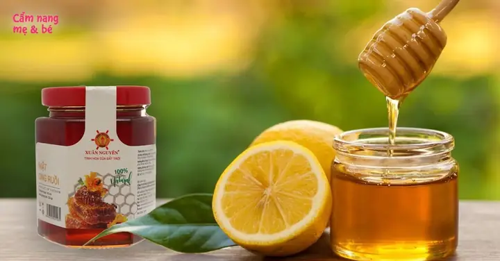Khám Phá Các Loại Mật Ong Trên Thị Trường: Loại Nào Ngon, Tốt Và Phù Hợp Với Bạn?