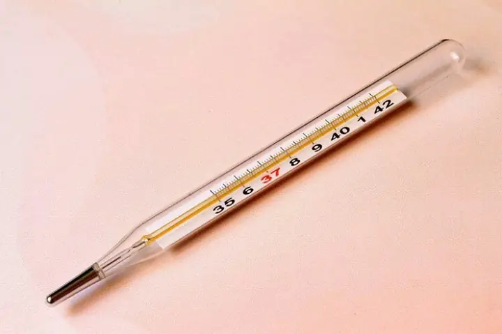 Các Loại Nhiệt Kế Phổ Biến: Hướng Dẫn Chọn & Sử Dụng Đúng Cách