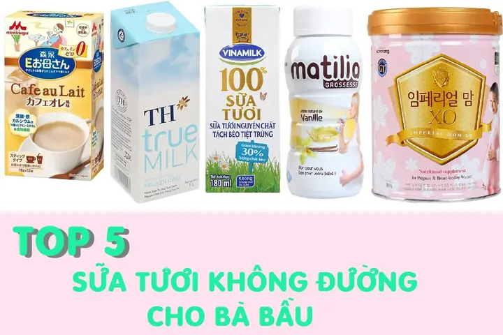 Top Các Loại Sữa Không Đường Tốt Nhất Cho Bà Bầu & Lợi Ích Vàng