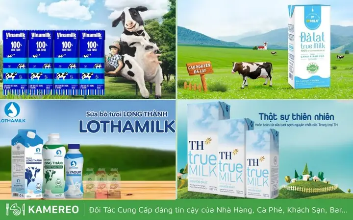 Khám Phá Các Loại Sữa Phổ Biến Nhất Tại Việt Nam: Lựa Chọn Thông Minh Cho Gia Đình Bạn Khám Phá Các Loại Sữa Phổ Biến Nhất Tại Việt Nam: Lựa Chọn Thông Minh Cho Gia Đình Bạn